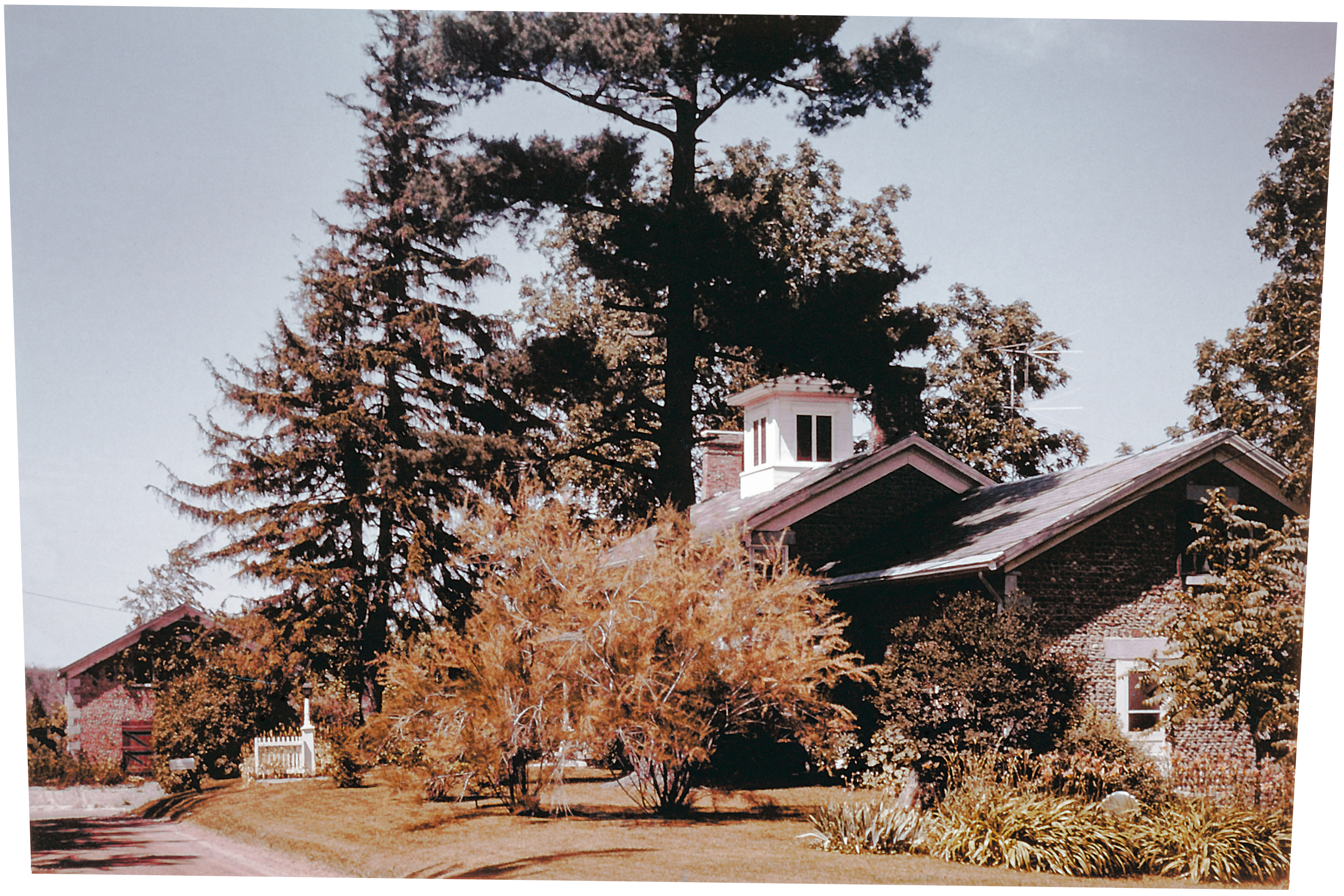 Tyr-4 Rogers Sen-13 3, 1876